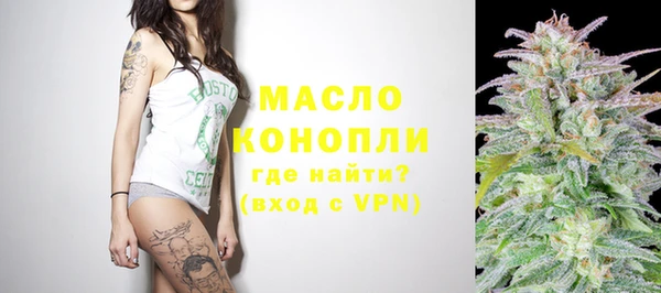ECSTASY Бородино