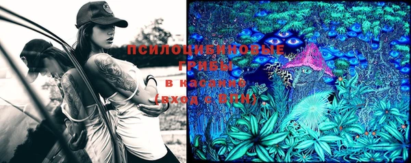 apvp Богданович