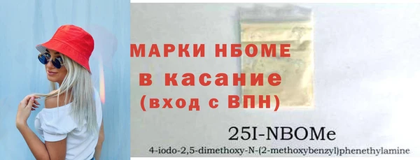 ECSTASY Бородино