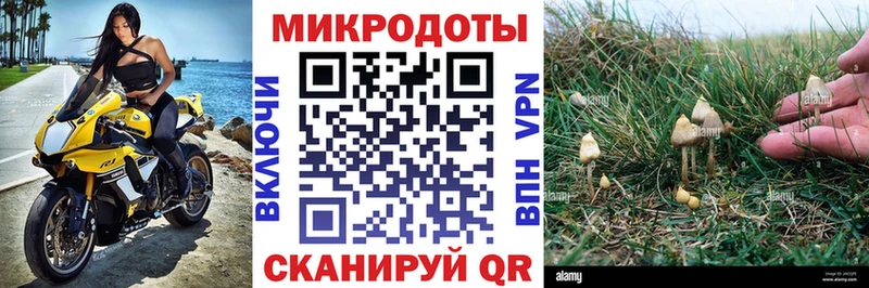 Галлюциногенные грибы прущие грибы  Троицк 